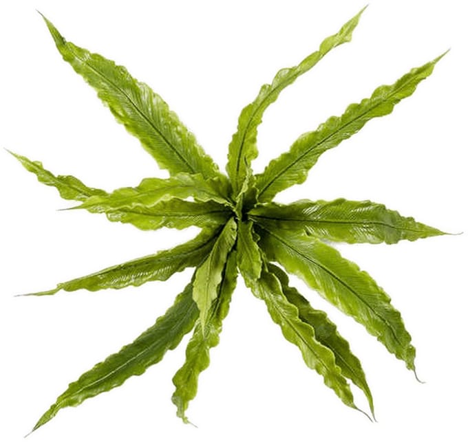 Fern asplenium bush x15 30 cm kunstbloem zijde nepbloem Emerald