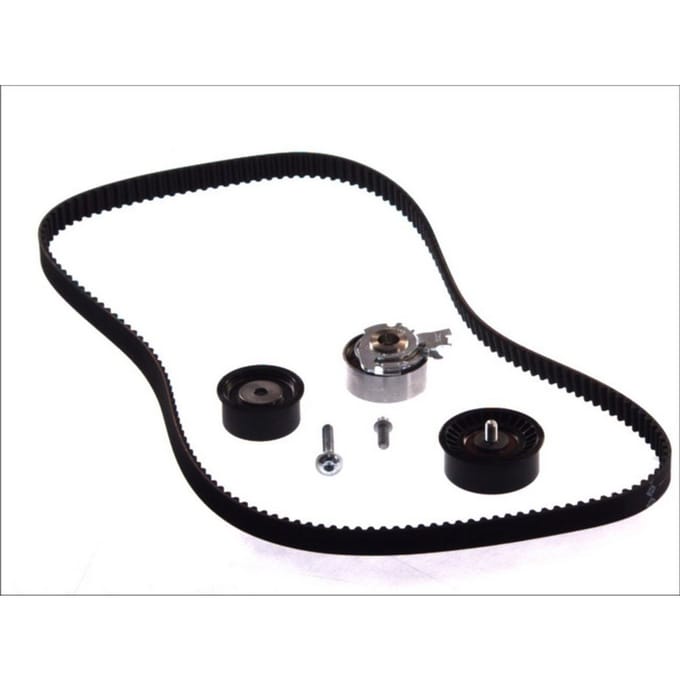 Schaeffler Ina Distributieriemset INA 530 0078 10
