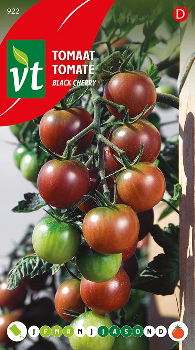 Tomaat Black Cherry - Sappige Variëteit met Zoete Smaak