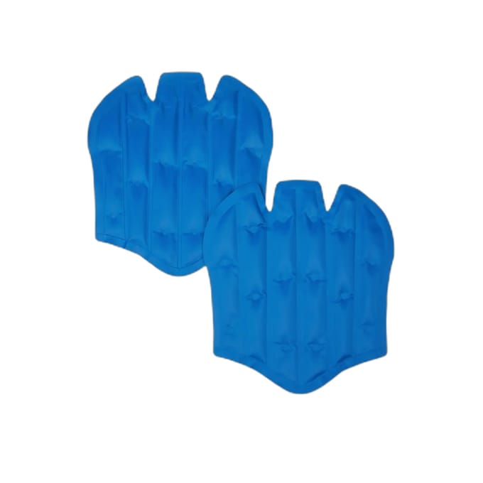 Paardenlaarzen LeMieux ProIce Freeze