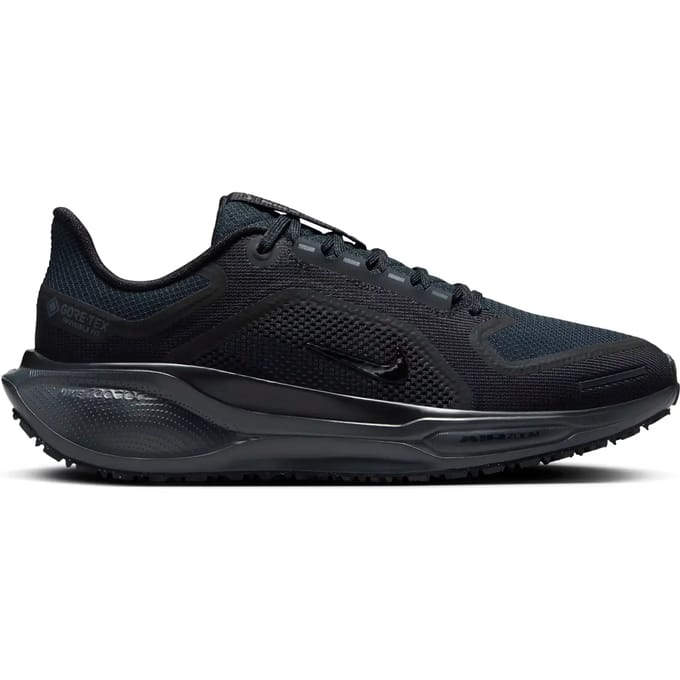 Hardloopschoenen voor dames Nike Pegasus 41 GORE-TEX