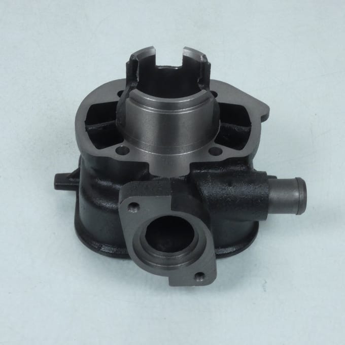 Cilinder P2R voor Scooter Peugeot 50 Ludix Classic 2004 tot 2006 Nieuw