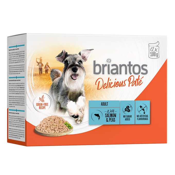 Voordeelpakket Briantos Delicious Paté 48 x 100 g - Zalm