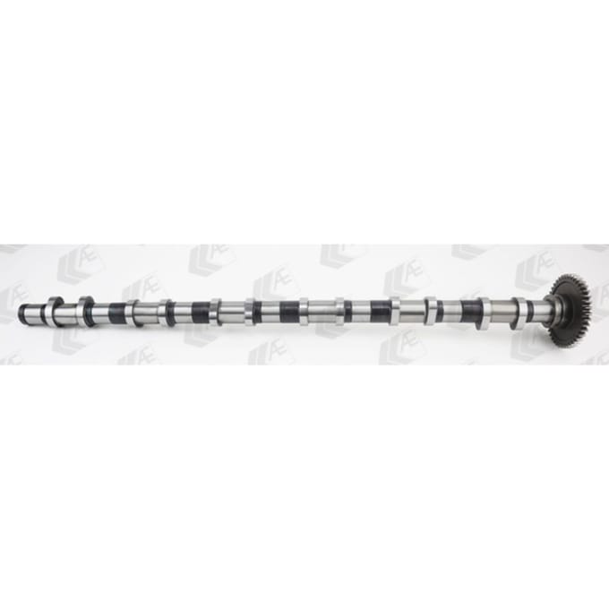 Nokkenas  AE CAM1021