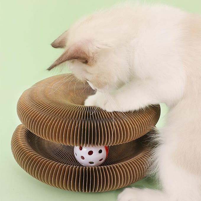 Kattenkrabplank Grappige Orgaanvorm Magnetische Kat Klauwen Slijpen Krabplank voor Katten Kittens beige