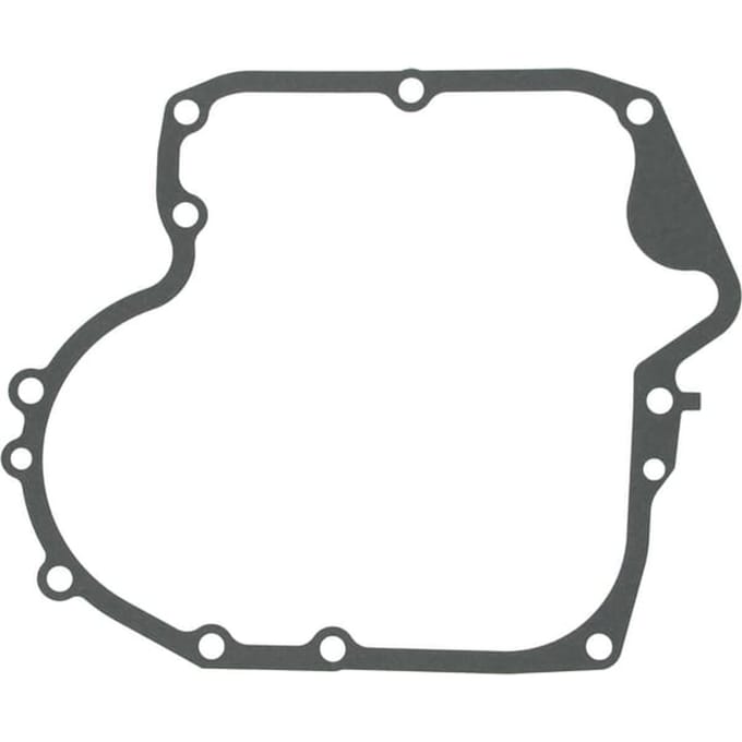 Briggs & stratton carterpakking
