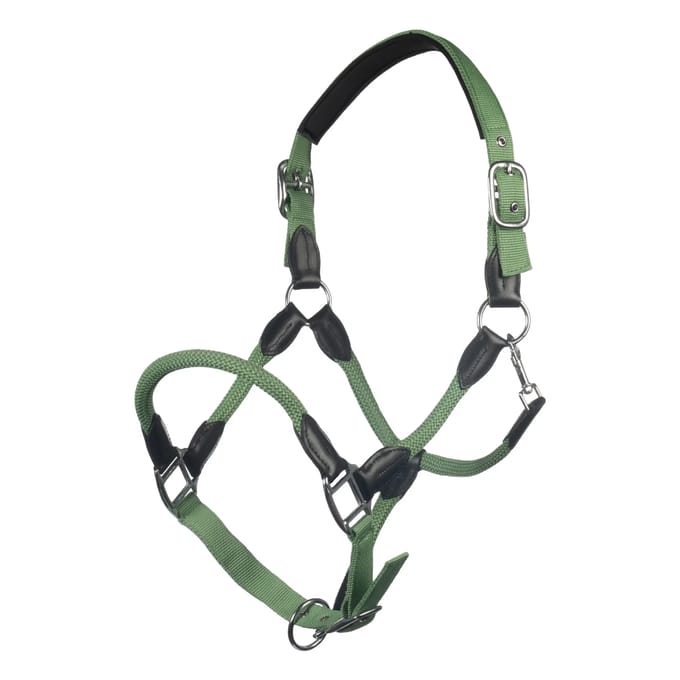 Halster voor paarden HKM Carlotta