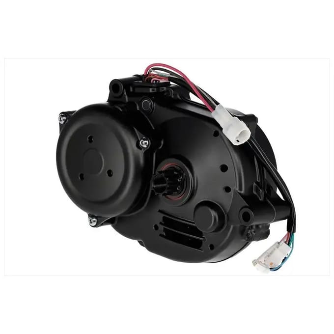 Motor Yamaha Pw-X