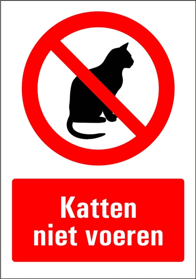Katten niet voeren bord - kunststof 148 x 210 mm