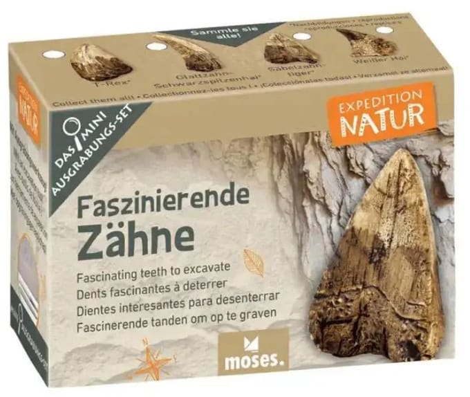 Expeditie Natuur Uithakset Klein Tanden - Uithakset