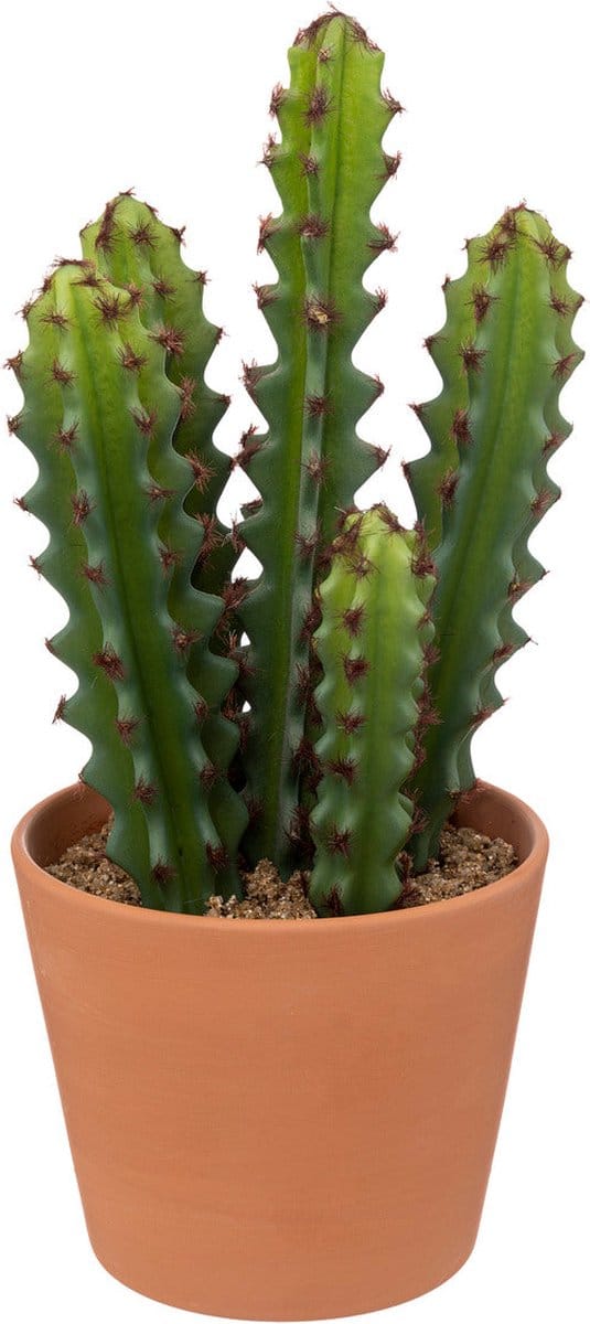 Atmosphera Kunstplant Alicante - Cactus met pot - Ø12xH30cm - Groen