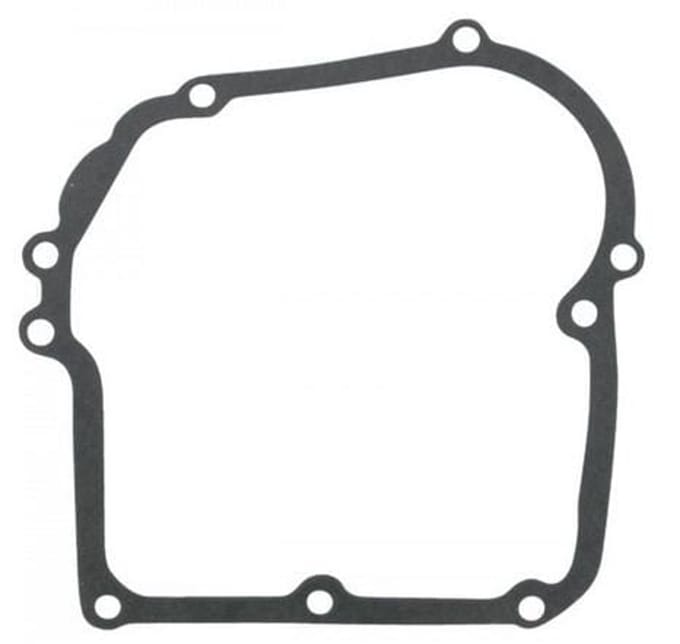 Briggs & stratton carterpakking