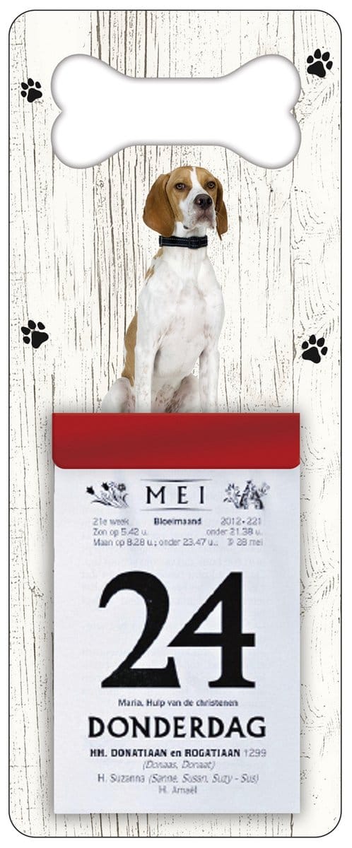 Scheurkalender 2027 Hond: Pointer
