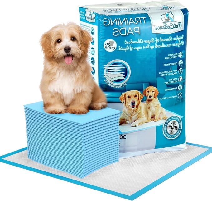 30-Pack Super Absorberende Grote Puppy Training Pads - 60x60 cm Wee Wee Mats - 6 Lagen Absorberende Hond Pee Pad