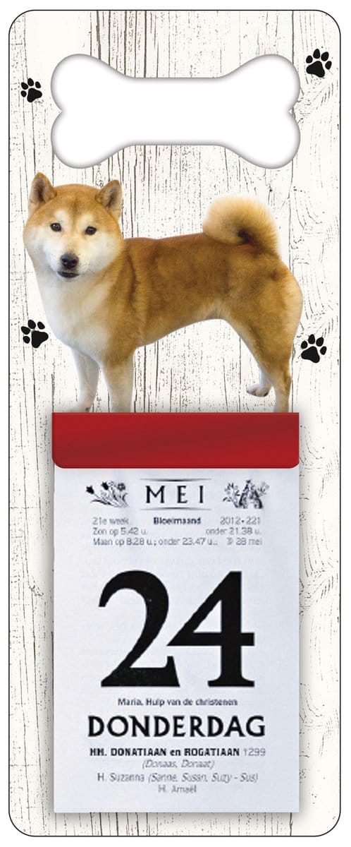 Scheurkalender 2027 Hond: Shiba