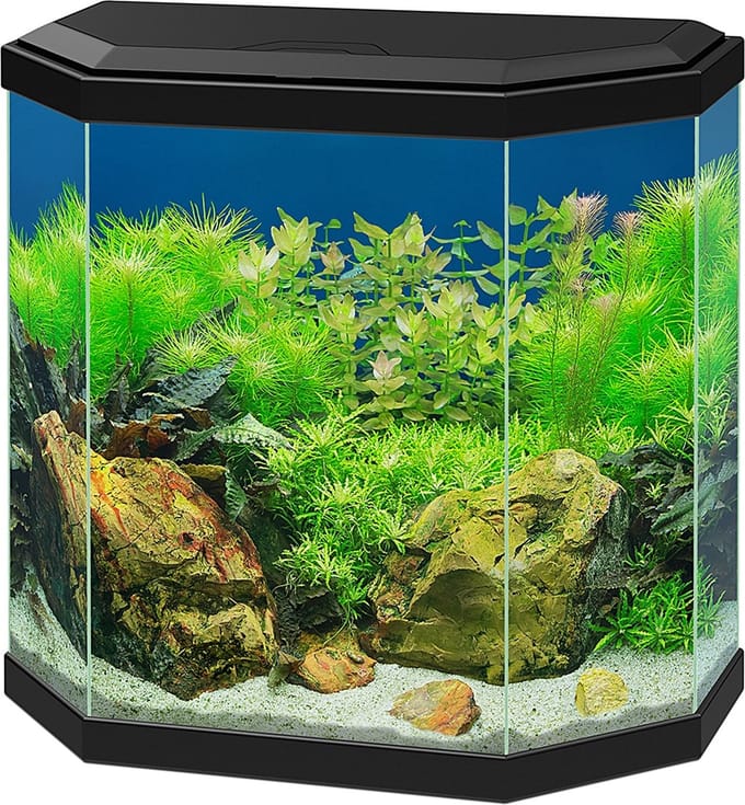 Ciano Aquarium Aqua 30 LED Zwart - 25L