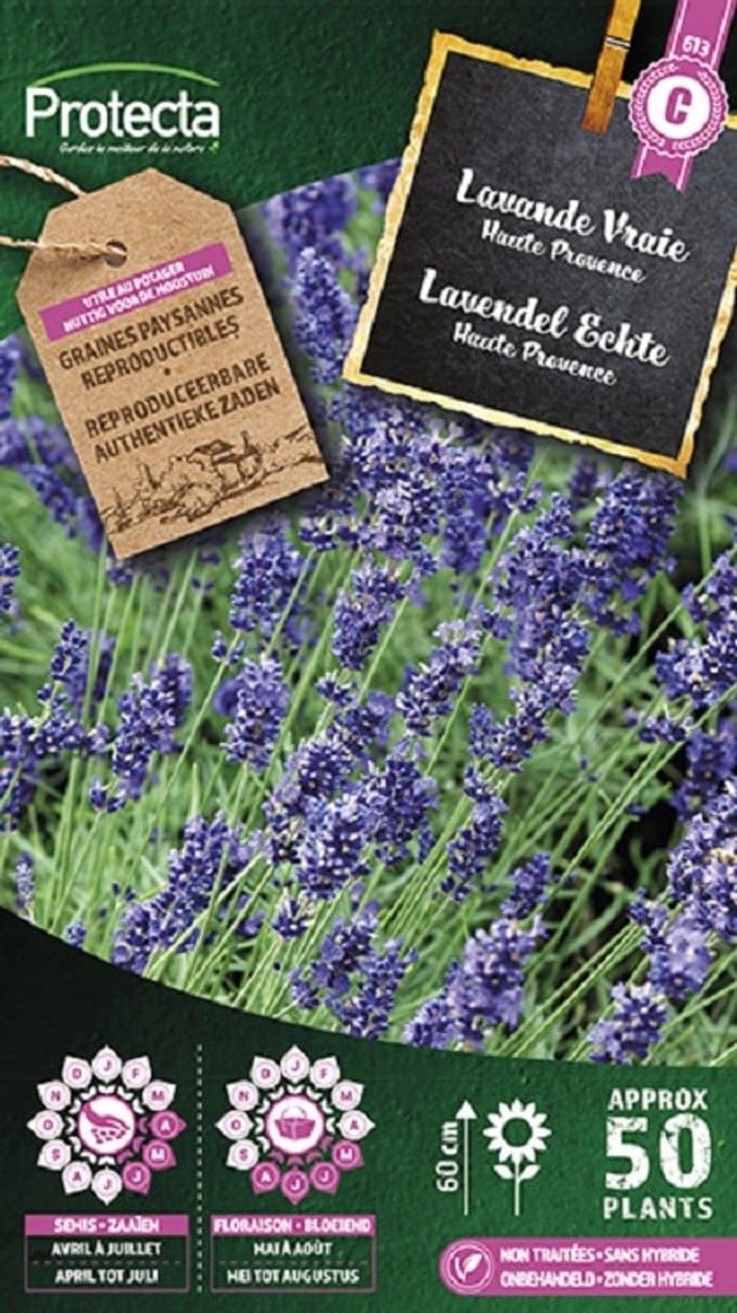Protecta Kruiden/bloemen zaden: Lavendel Echte | Lavandula