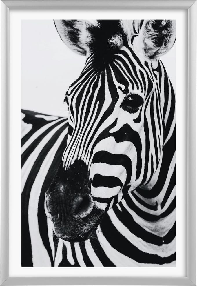 Goldbuch - Fotolijst Alluminio - Zilver - 20x30 cm