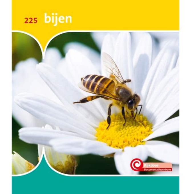 Bijen - De Kijkdoos - Minke van Dam