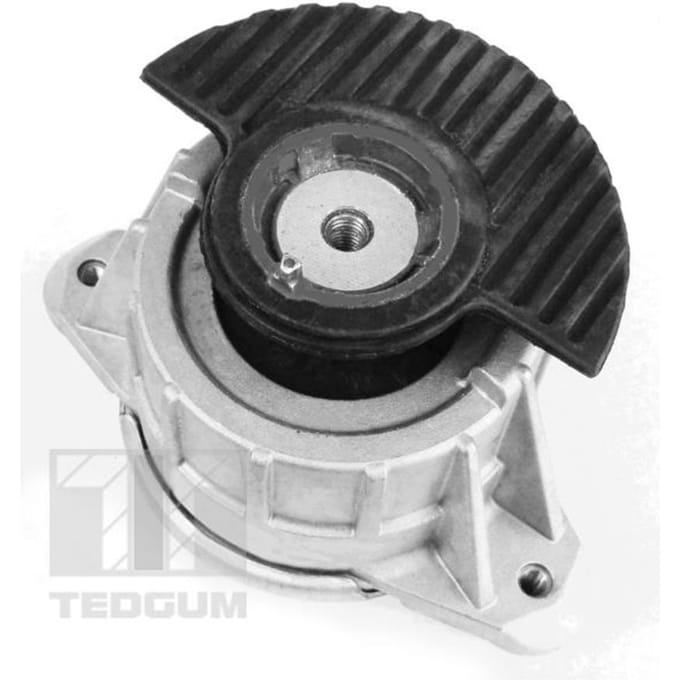 Motorsteun TEDGUM 00418476