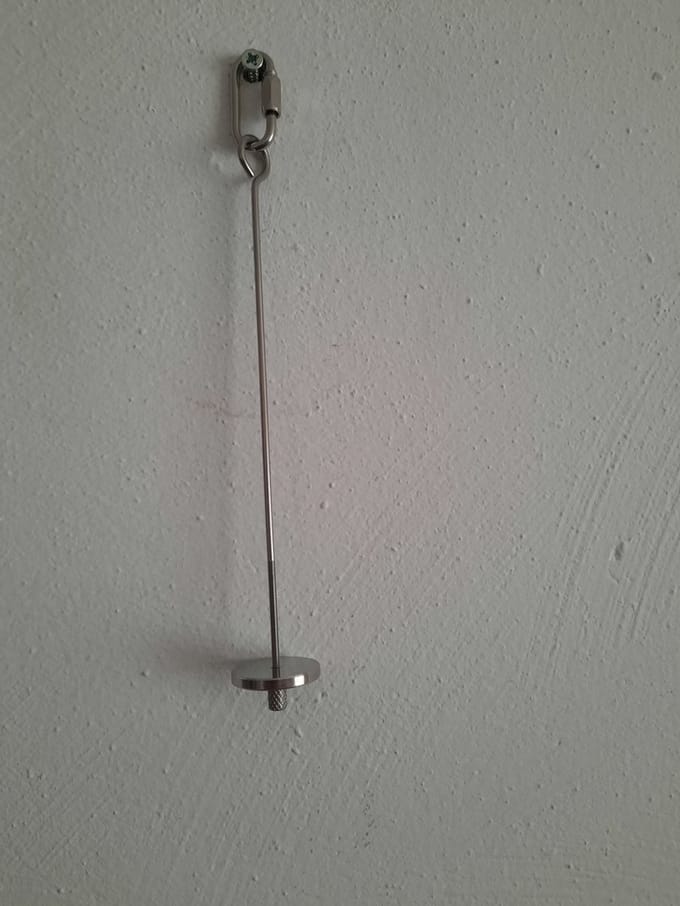 fruit pin