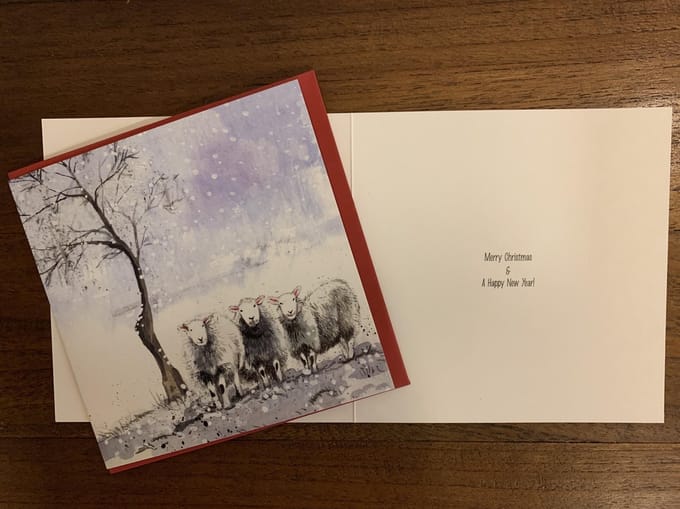 Alex Clark Kerstkaarten Schapen ~ Winter Flock