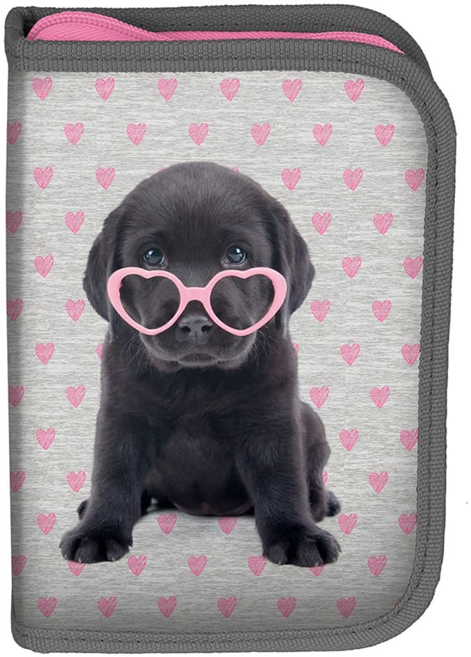 Studio Pets Puppy Glasses - Leeg Etui - 19.5 cm - Multi