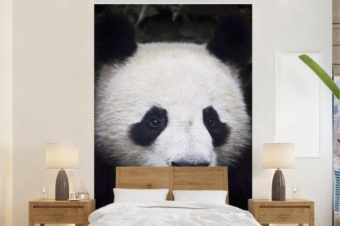 Behang - Fotobehang Panda - Portret - Zwart - Wit - Breedte 170 cm x hoogte 260 cm