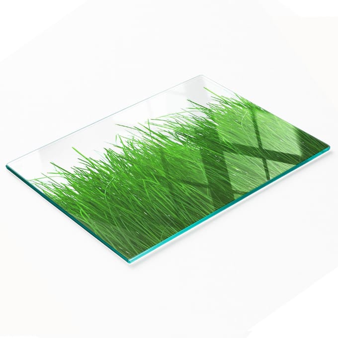 Decoratieve glazen serveerplank met afbeelding van gras voor het serveren van snacks, 80x52 cm