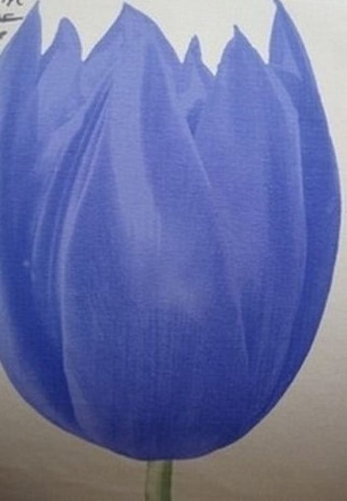 TULPEN BEHANG 51700