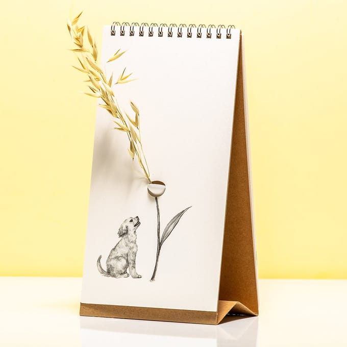Flip Vase - companion