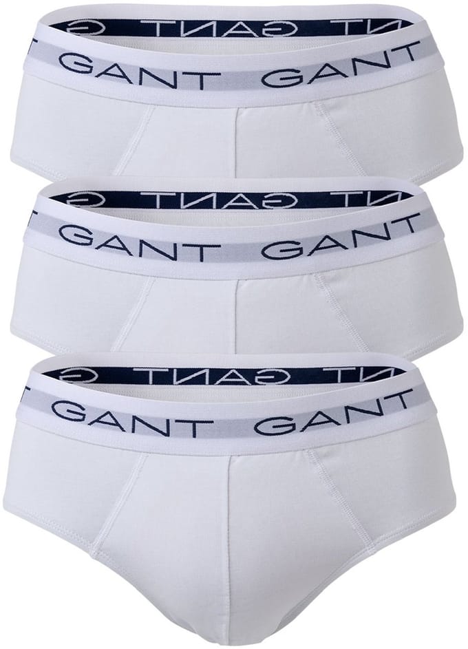 Gant Ondermode Uni Color Brief 3Pack Wit / male