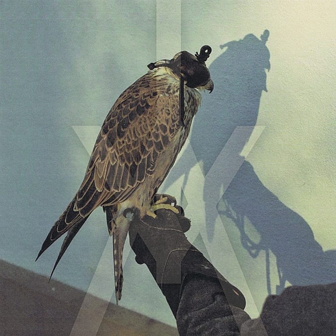 You re Nothing - Iceage