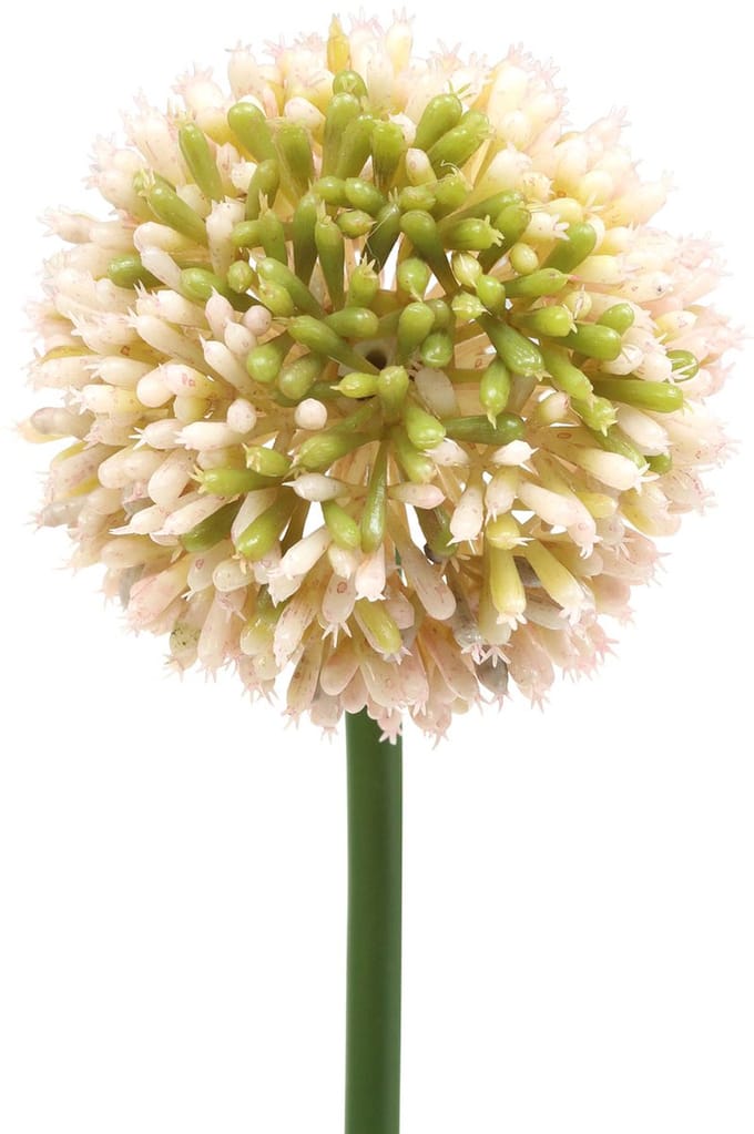 Sier allium kunstroze / groen Ø8cm 58cm