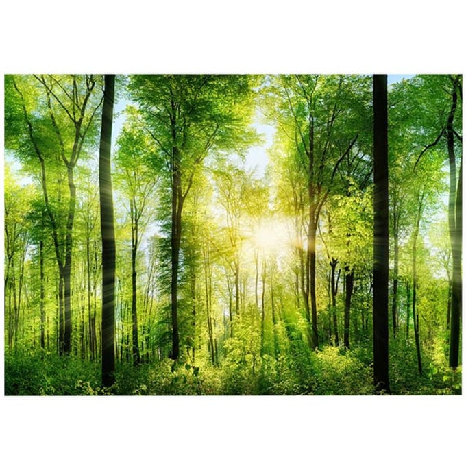 3D Effect Zelfklevende Bosposter voor Aquarium Vissenkom Decoratie 61 x 41cm yellow