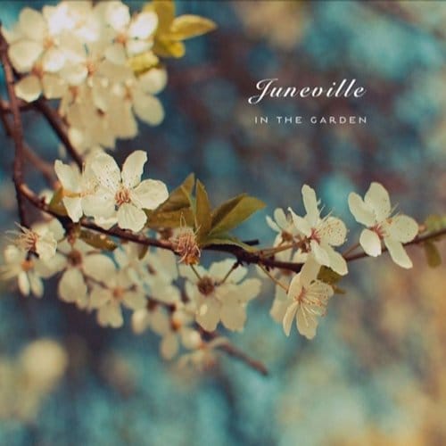 In The Garden - Juneville