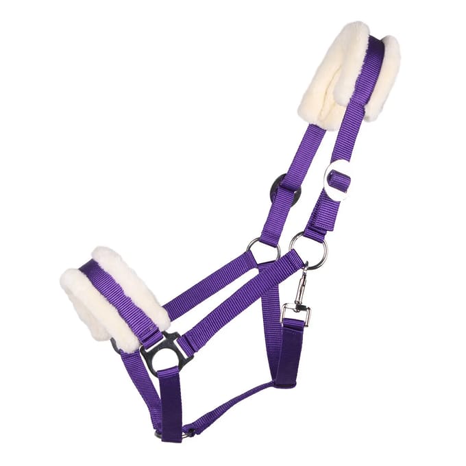 Halster voor paarden Q-essentials Cali