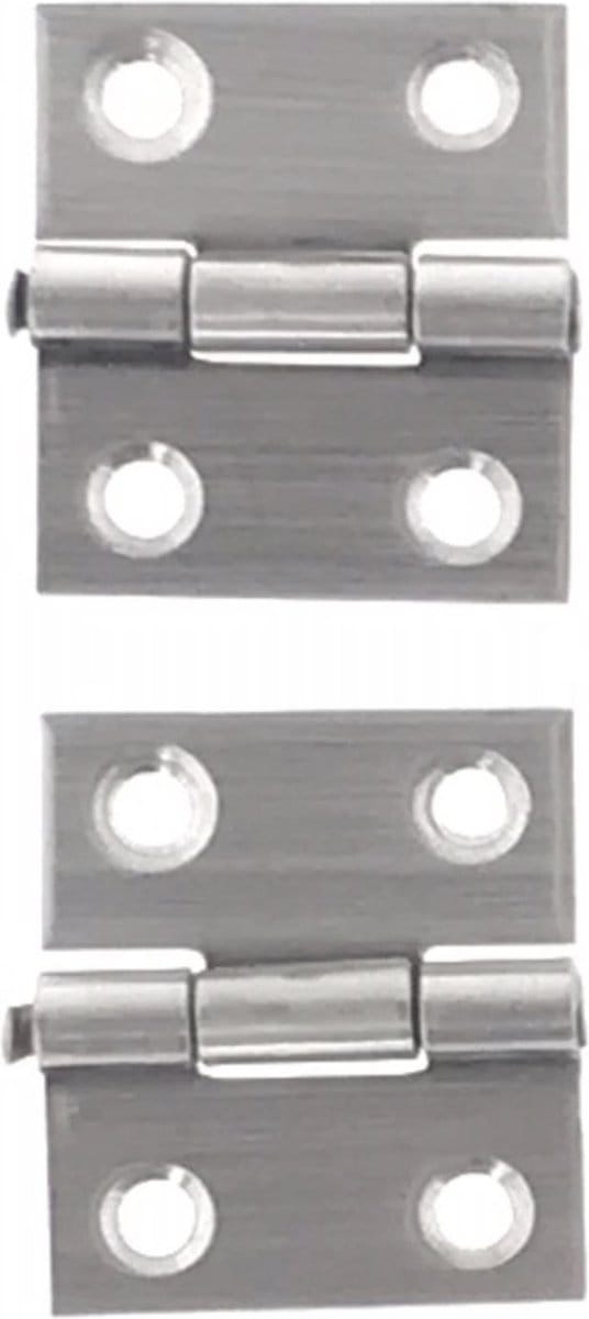 Benson RVS Scharnieren - 26 x 27 mm - Inclusief Schroeven - 2 stuks
