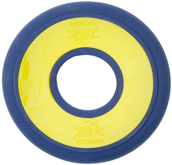Zeus Fitness Fetch Disc