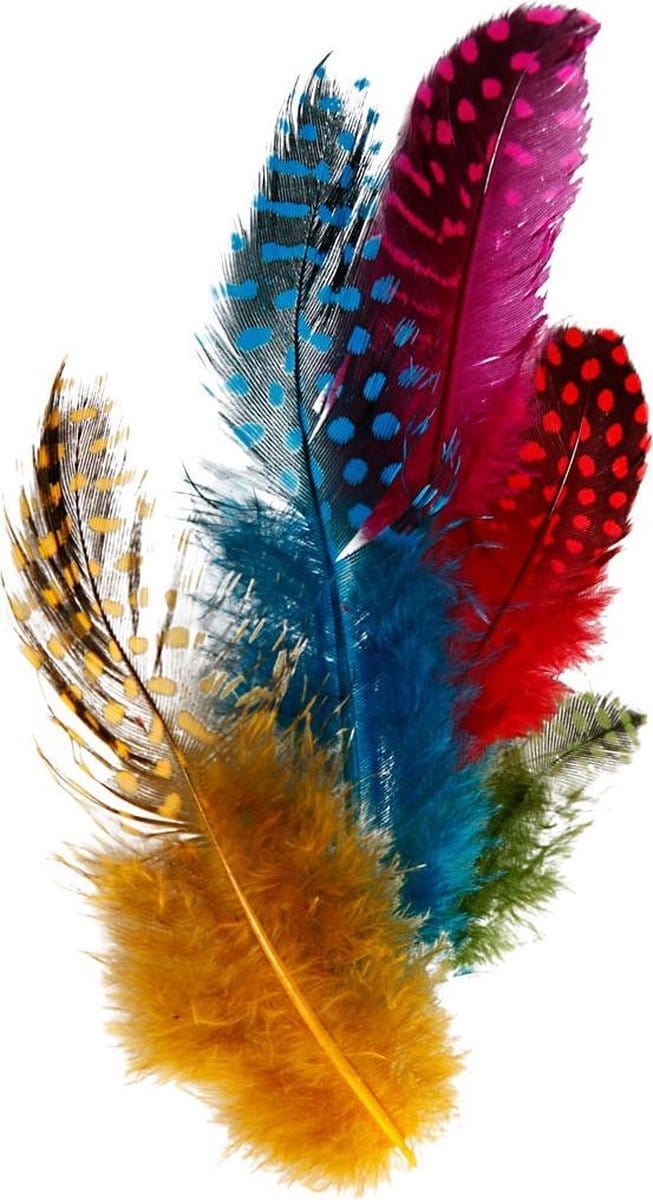 Veren van parelhoen, diverse kleuren, 3gr/ 1 doos