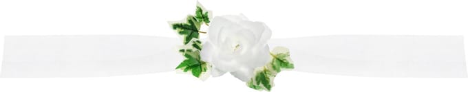 PartyDeco trouwauto lint roosjes - Bruiloft - wit met groen blad - just married