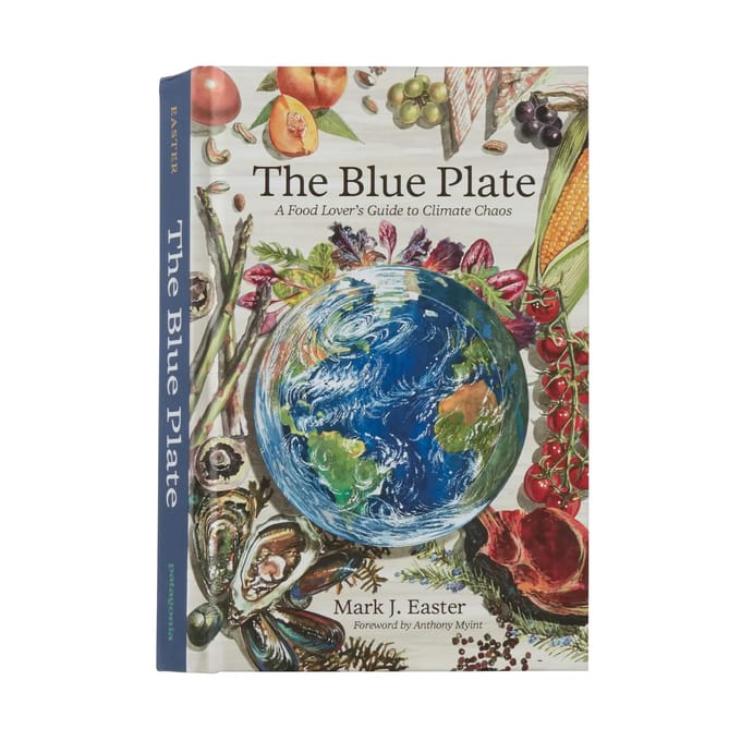 Boek Patagonia The Blue Plate