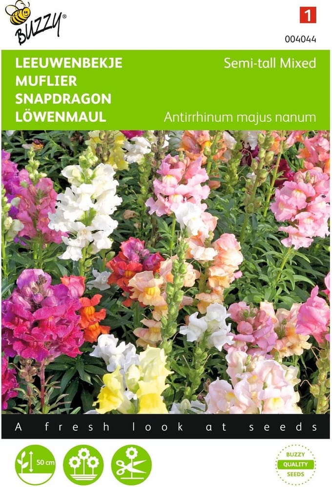 2 stuks - Buzzy - Antirrhinum Majus Nanum Gemengd
