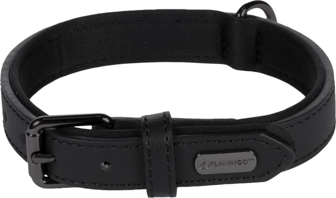 Halsband Binti Zwart - Zwart - 31 - 39 cm x 20 mm