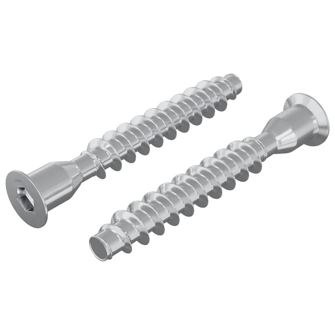 vidaXL Confirmatschroeven 2 pcs Zilver Ø7 x 50 mm Metaal