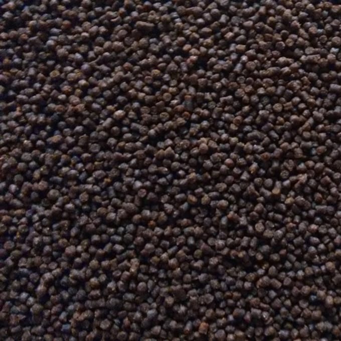 Oswalt Goudviskorrels - 5KG - Vissenvoer
