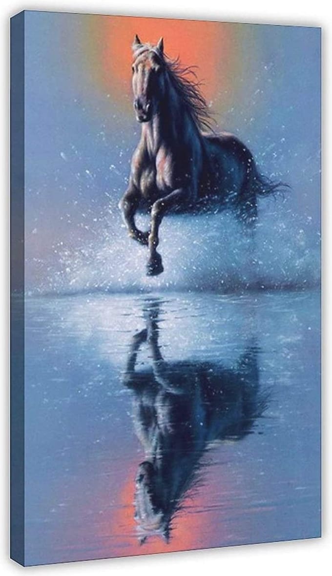 Diamond painting 50 x 60 Paard in spiegelbeeld