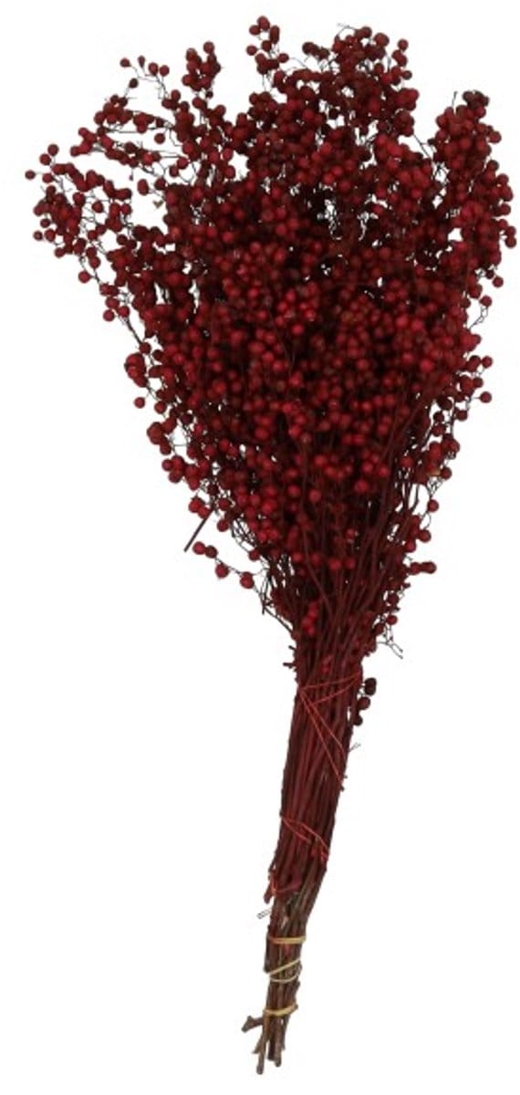 Gedroogde Pepperberries Wijn Red