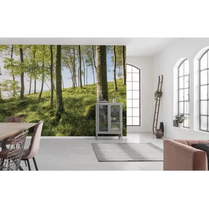 Fotobehang Zauberhaftes Buchenspektakel - Meerkleurig - 2,80m X 450cm