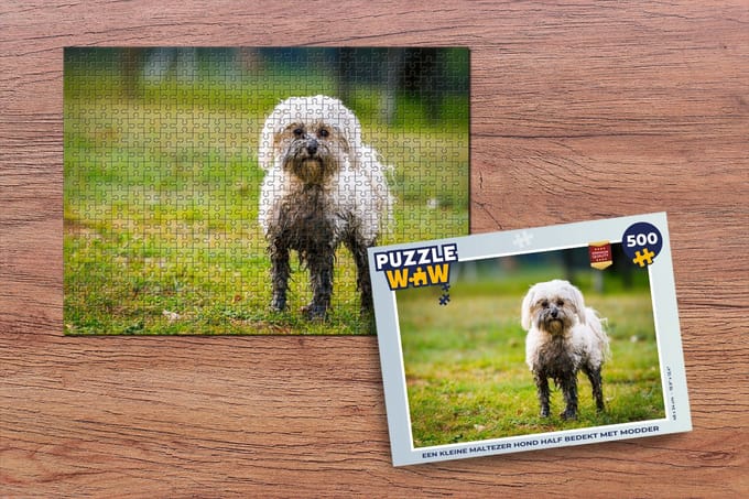 Puzzel Een kleine Maltezer hond half bedekt met modder - Legpuzzel - Puzzel 500 stukjes